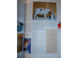 Huisdieren Het complete Honden Boek