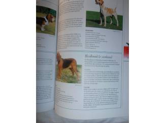 Huisdieren Het complete Honden Boek