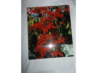 Reisboeken Heel de Canarische eilanden