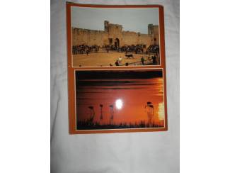 Reisboeken La Camargue