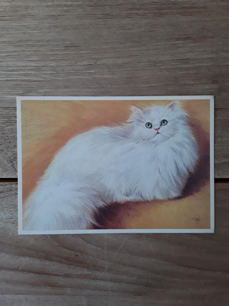 Vintage ansichtkaart katten - van actie Kinderzegels