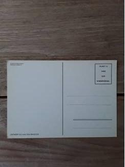 Ansichtkaarten | Dieren Vintage ansichtkaart katten - van actie Kinderzegels