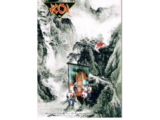 Tijdschriften Koi set 2