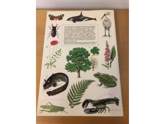 Overige Boeken en Diversen Lekturama boeken / Readers Digest boeken hardcover zie titels