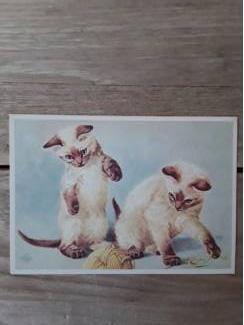 Vintage ansichtkaart katten - van actie Kinderzegels