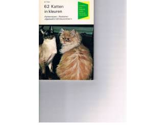 Huisdieren 62 Katten in kleuren &ndash; D. Thies