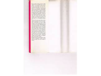 Romans Kingsley Amis &ndash; Ik wil het nu