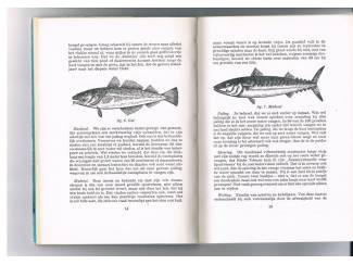 Sport Voorbij de derde breker &hellip;  Het vissen in zee