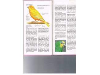 Huisdieren Handboek kooi- en voli&egrave;re vogels &ndash; David Alderton