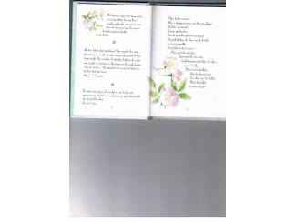 Po&euml;zie Voor een heel speciale Moeder