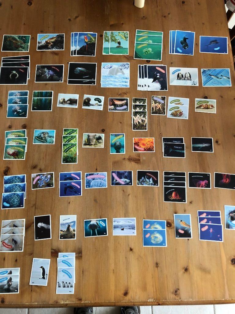 Detective Verloren hart mug AH expeditie oceaan stickers te koop Albert Heijn sticker kopen : Stickers