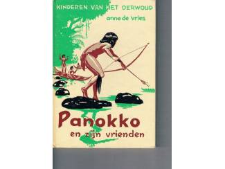 Panokko en zijn vrienden – Anne de Vries