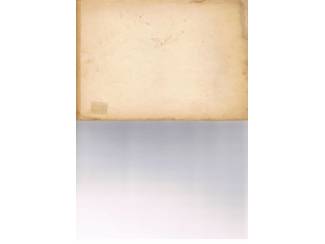 Stripboeken Tekko Taks en het grote plan (Trouw)