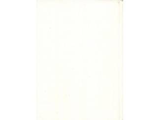 Religieus De Bijlhouwer van Utrecht - H.J. van Lummel - Zondagsschoolboekje