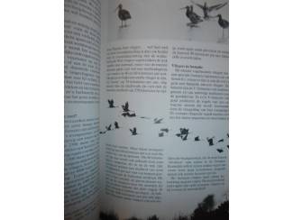 Flora en Fauna Trekvogels – J. Taapken en D.A.C. van den Hoorn
