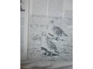 Flora en Fauna Trekvogels &ndash; J. Taapken en D.A.C. van den Hoorn