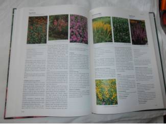 Flora en Fauna De mooiste vaste planten van A &ndash; Z