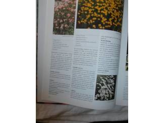 Flora en Fauna De mooiste vaste planten van A &ndash; Z