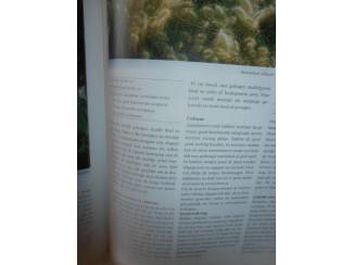 Flora en Fauna De mooiste vaste planten van A &ndash; Z