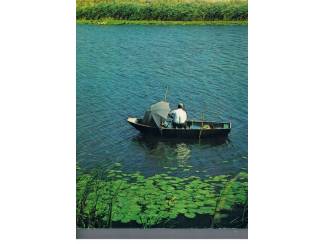 Flora en Fauna Rivierenland &ndash; Jan van de Kam