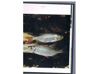 Flora en Fauna Rivierenland &ndash; Jan van de Kam