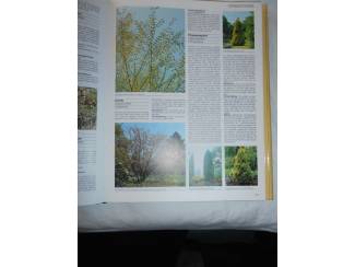 Flora en Fauna Herwig &ndash; Tuinplanten encyclopedie