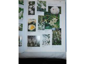 Flora en Fauna Tuinplanten encyclopedie op kleur
