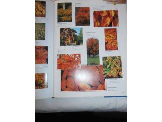 Flora en Fauna Tuinplanten encyclopedie op kleur