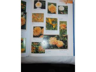 Flora en Fauna Tuinplanten encyclopedie op kleur