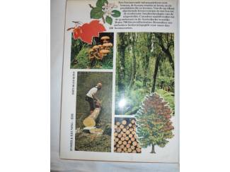 Flora en Fauna Bomen Bos en Hout &ndash; Herbert Edlin