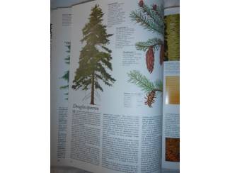 Flora en Fauna Bomen Bos en Hout &ndash; Herbert Edlin