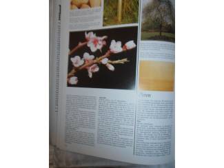 Flora en Fauna Bomen Bos en Hout &ndash; Herbert Edlin