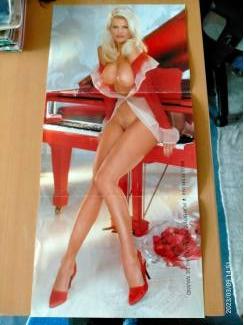 Playboy poster Miss Februair  Victoria silverstedt