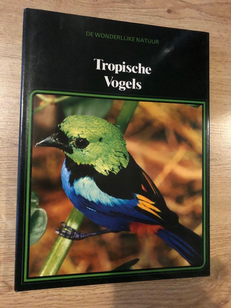 Lekturama de wonderlijke natuur : tropische vogels