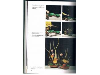 Flora en Fauna Bloemschikken en droogboeketten