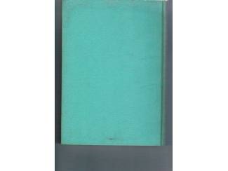 Romans Pioniers &ndash; Jant Nienhuis