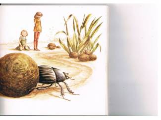 Jeugdboeken Ogen op steeltjes &ndash; Jan Wartena en Co Loerakker