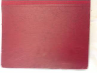 Striptijdschriften Disneyland Bundeling  nr. 1 &ndash; 26