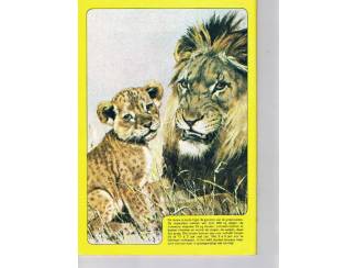 Stripboeken Debbie Stripstory nr. 3 &ndash; 1984