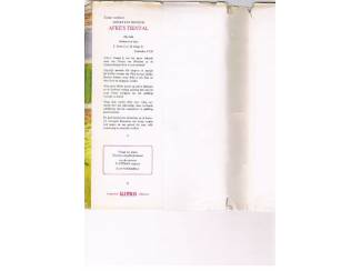 Jeugdboeken Afke's Tiental &ndash; Nienke v. Hichtum