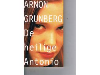 Romans De heilige Antonio – Arnon Grunberg