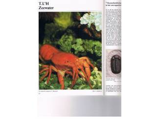 Tijdschriften TI'H &ndash; aquariumvissen set 3