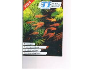 I'H &ndash; aquariumvissen set 4