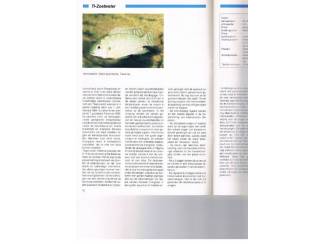 Tijdschriften I'H &ndash; aquariumvissen set 4