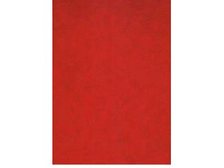 Postzegels | Stockboeken met zegels  Stockboek Metro 8 Rood met thema zegels