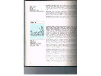 Spiritualiteit en Psychologie Astrologie in de praktijk