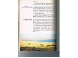 Religieus Die gute Nachricht