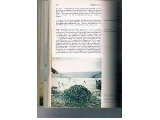 Religieus Die gute Nachricht