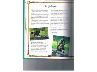 Sport Ik leer paardrijden