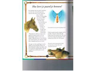 Sport Ik leer paardrijden